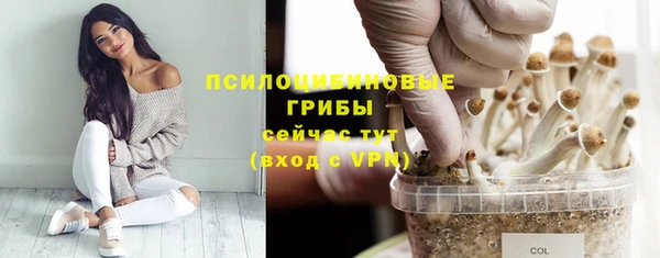 дмт Дмитров