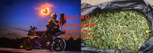 дмт Дмитров
