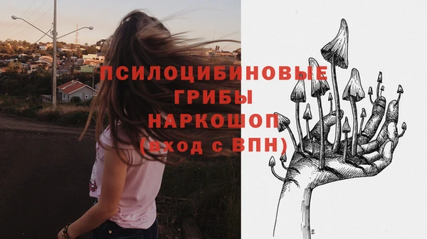 дмт Дмитров