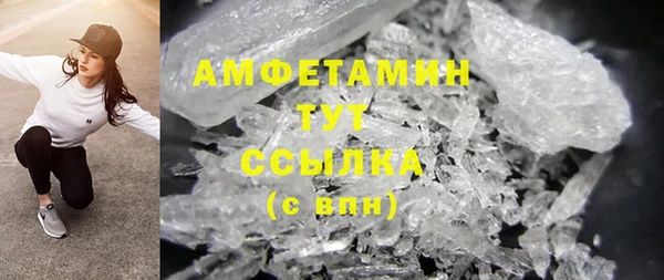 дмт Дмитров
