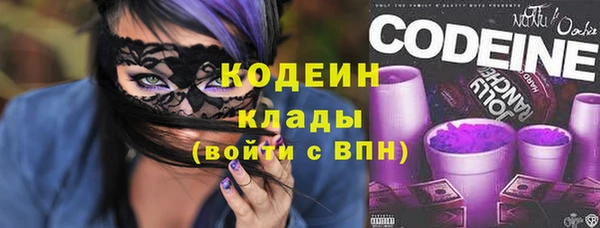 дмт Дмитров