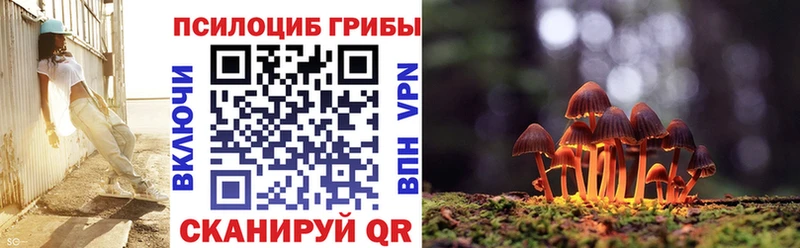 Купить  Кириллов  Галлюциногенные грибы Magic Shrooms 